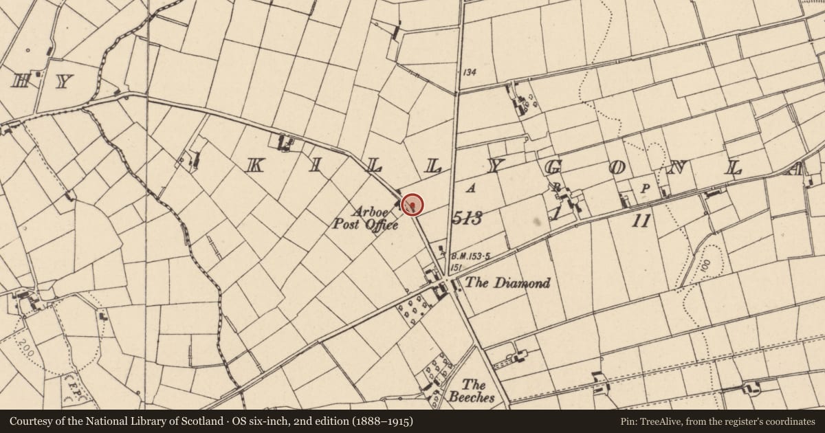 Ordnance Survey six-inch map, 2nd edition (1888–1915) covering the location of Telephone Kiosk, Killygonlan, with a pin at the register's coordinates