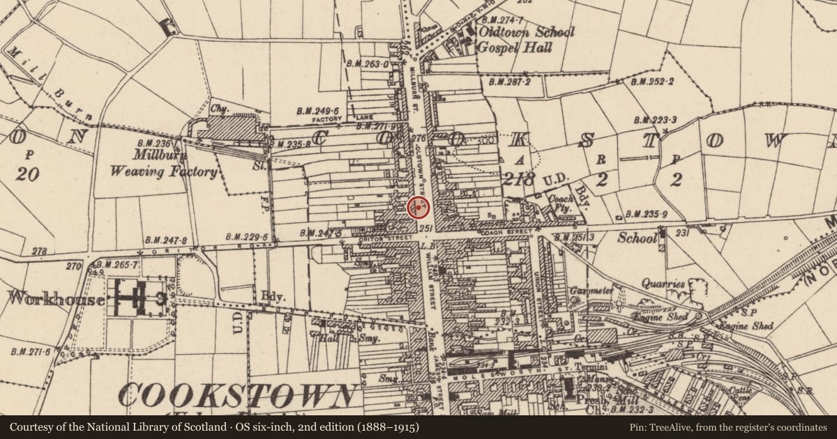 Ordnance Survey six-inch map, 2nd edition (1888–1915) covering the location of Hotel, 12/14 Oldtown Street, Cookstown, Co Tyrone, BT60 8EF, Mid Ulster, with a pin at the register's coordinates