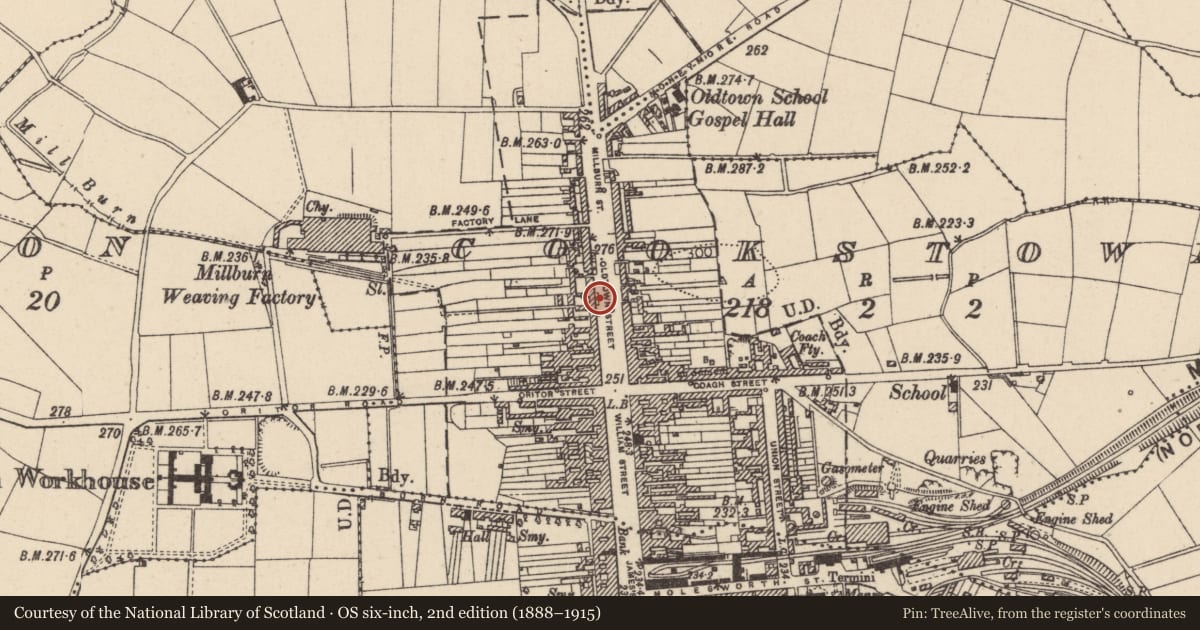 Ordnance Survey six-inch map, 2nd edition (1888–1915) covering the location of 36a and 36b Oldtown Street, Cookstown, Co Tyrone, BT80 8EF, Mid Ulster, with a pin at the register's coordinates