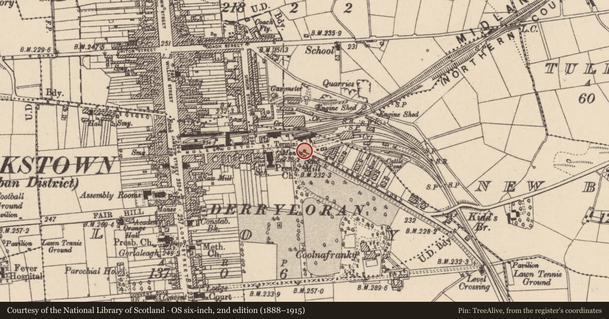 Ordnance Survey six-inch map, 2nd edition (1888–1915) covering the location of Gate Lodge, Coolnafranky House, Loy, Mid Ulster, with a pin at the register's coordinates