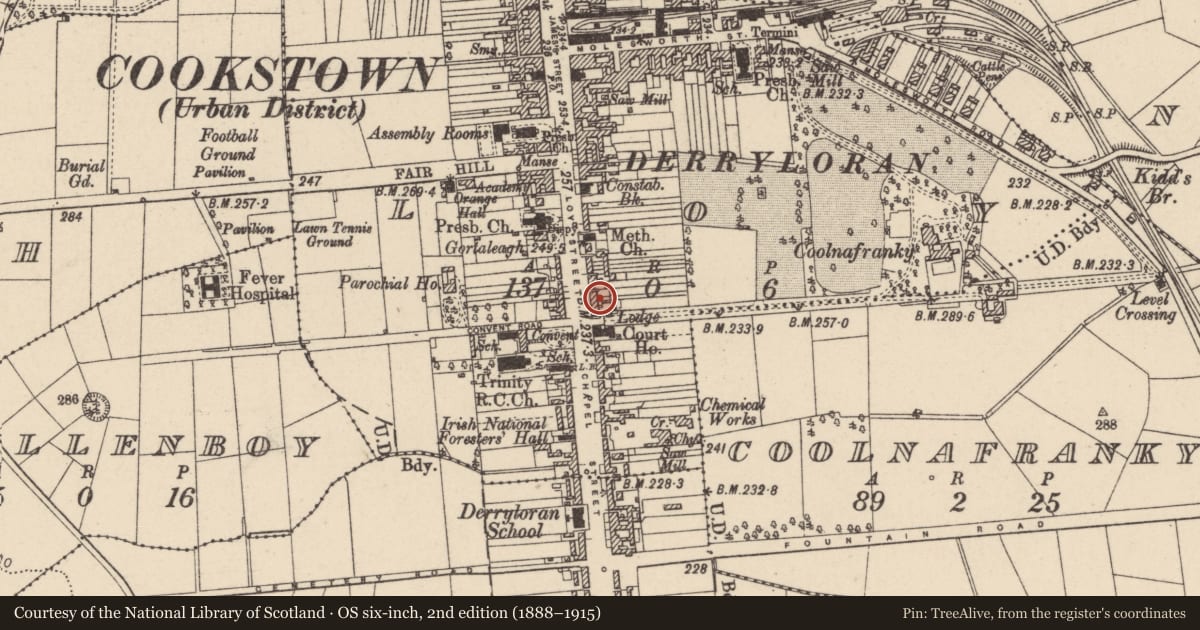 Ordnance Survey six-inch map, 2nd edition (1888–1915) covering the location of 54 Loy Street, Mid Ulster, with a pin at the register's coordinates
