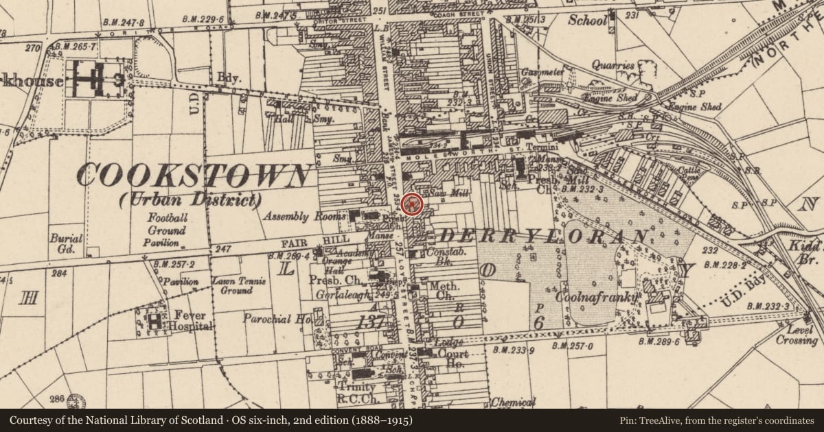 Ordnance Survey six-inch map, 2nd edition (1888–1915) covering the location of 56 James Street, Loy, Mid Ulster, with a pin at the register's coordinates