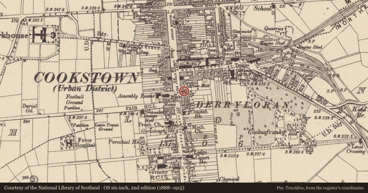 Ordnance Survey six-inch map, 2nd edition (1888–1915) covering the location of 58 James Street, Loy, Mid Ulster, with a pin at the register's coordinates