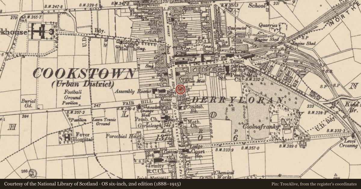 Ordnance Survey six-inch map, 2nd edition (1888–1915) covering the location of 62 James Street, Loy, Mid Ulster, with a pin at the register's coordinates
