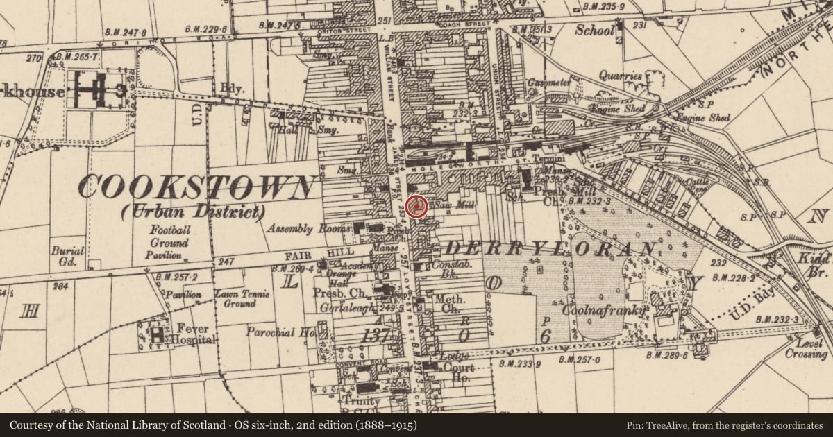Ordnance Survey six-inch map, 2nd edition (1888–1915) covering the location of 50-52 James Street, Loy, Mid Ulster, with a pin at the register's coordinates