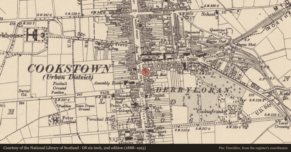Ordnance Survey six-inch map, 2nd edition (1888–1915) covering the location of 44 James Street, Loy, Mid Ulster, with a pin at the register's coordinates