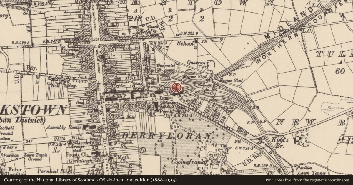 Ordnance Survey six-inch map, 2nd edition (1888–1915) covering the location of 48 Molesworth Street, Loy, Mid Ulster, with a pin at the register's coordinates