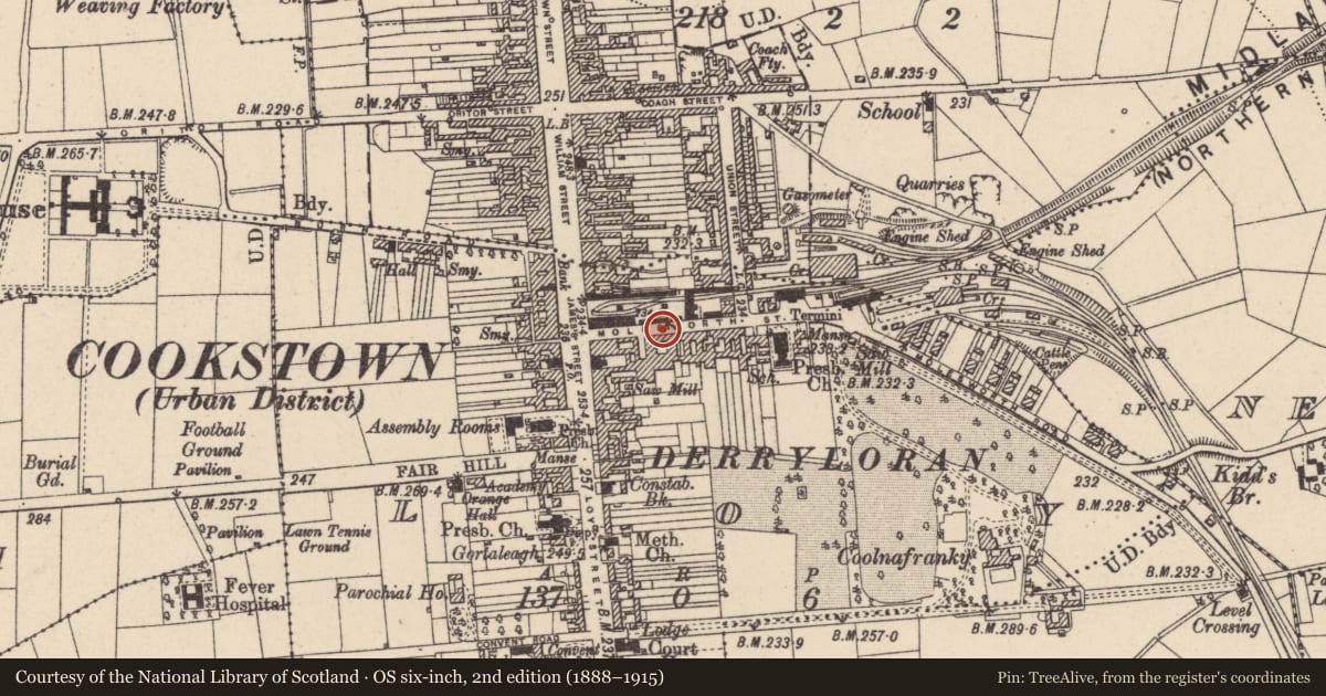 Ordnance Survey six-inch map, 2nd edition (1888–1915) covering the location of 21-23 Molesworth Street, Loy, Mid Ulster, with a pin at the register's coordinates