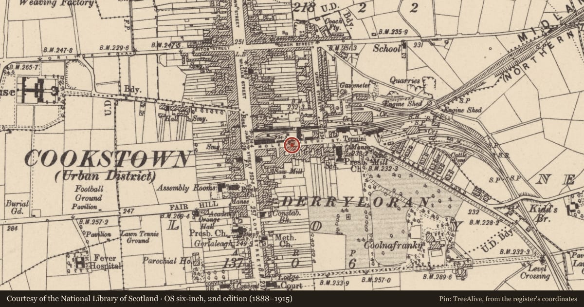 Ordnance Survey six-inch map, 2nd edition (1888–1915) covering the location of 25 Molesworth Street, Loy, Mid Ulster, with a pin at the register's coordinates