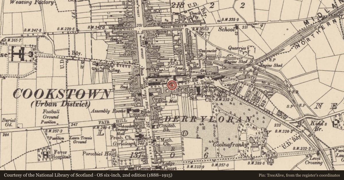 Ordnance Survey six-inch map, 2nd edition (1888–1915) covering the location of 27-29 Molesworth Street, Loy, Mid Ulster, with a pin at the register's coordinates