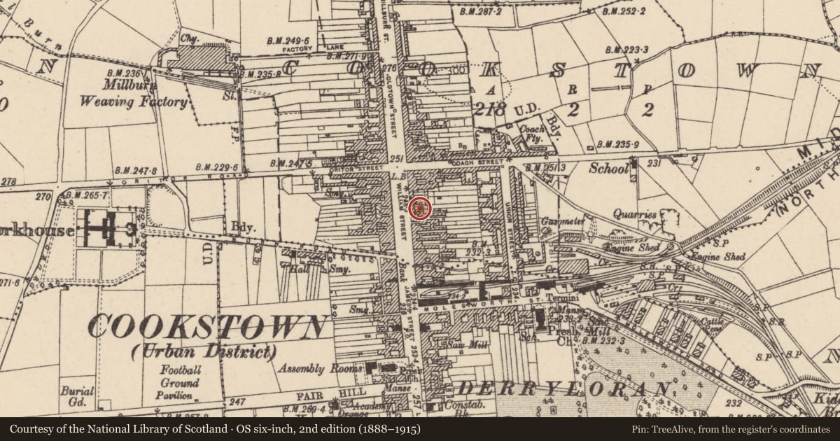 Ordnance Survey six-inch map, 2nd edition (1888–1915) covering the location of Central Bar, Cookstown, Mid Ulster, with a pin at the register's coordinates