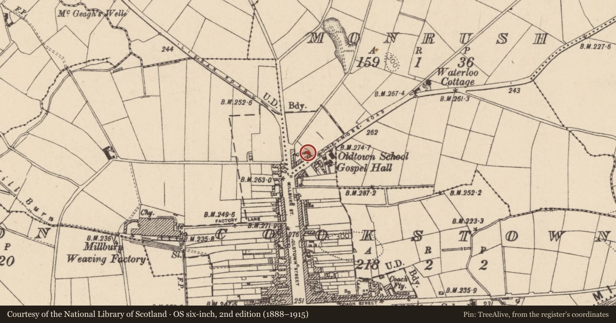 Ordnance Survey six-inch map, 2nd edition (1888–1915) covering the location of 2/20 Moneymore Road, Cookstown, Co Tyrone, BT80 8EQ, Mid Ulster, with a pin at the register's coordinates