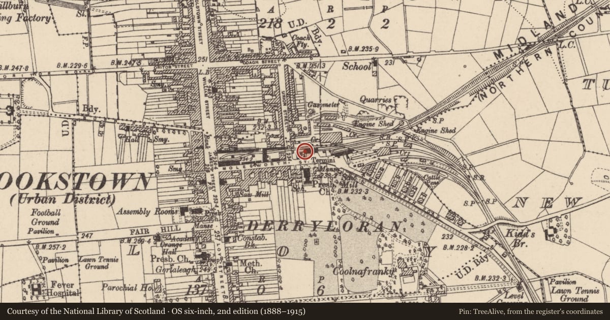 Ordnance Survey six-inch map, 2nd edition (1888–1915) covering the location of 46 Molesworth Street, Cookstown, Co Tyrone, BT80 8PA, Loy, Mid Ulster, with a pin at the register's coordinates