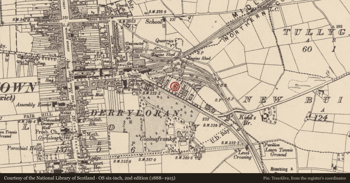 Ordnance Survey six-inch map, 2nd edition (1888–1915) covering the location of 14 Molesworth Road, Cookstown, Co Tyrone, BT80 8NR, Loy, Mid Ulster, with a pin at the register's coordinates