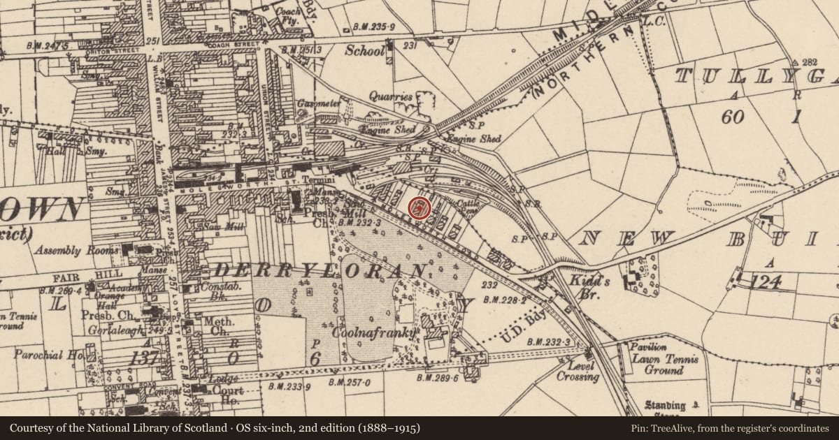 Ordnance Survey six-inch map, 2nd edition (1888–1915) covering the location of 16 Molesworth Road, Cookstown, Co Tyrone, BT80 8NR, Loy, Mid Ulster, with a pin at the register's coordinates