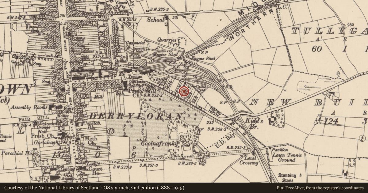 Ordnance Survey six-inch map, 2nd edition (1888–1915) covering the location of 18 Molesworth Road, Cookstown, Co Tyrone, BT80 8NR, Loy, Mid Ulster, with a pin at the register's coordinates