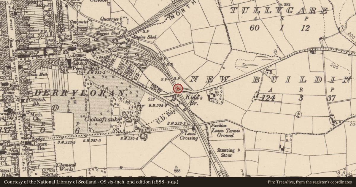 Ordnance Survey six-inch map, 2nd edition (1888–1915) covering the location of Kidd's Bridge, Cookstown, Mid Ulster, with a pin at the register's coordinates