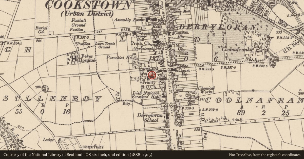 Ordnance Survey six-inch map, 2nd edition (1888–1915) covering the location of Holy Trinity Roman Catholic Church, Loy, Mid Ulster, with a pin at the register's coordinates