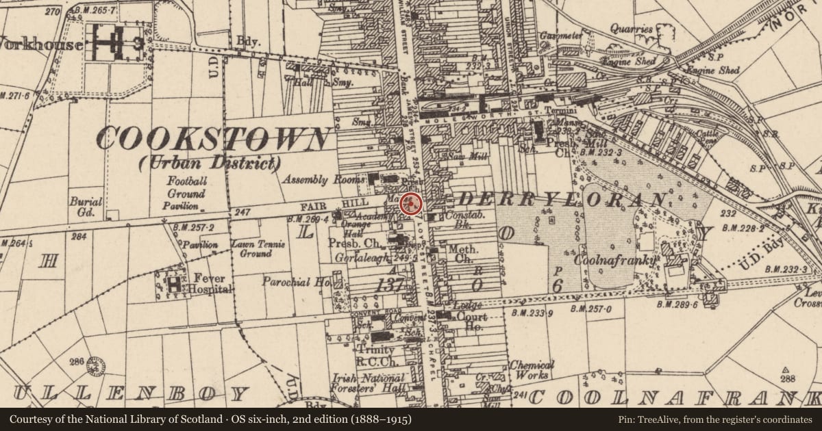 Ordnance Survey six-inch map, 2nd edition (1888–1915) covering the location of 3 Loy Street, Cookstown, Co Tyrone, BT80 8PZ, Mid Ulster, with a pin at the register's coordinates
