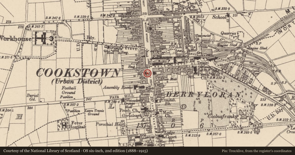 Ordnance Survey six-inch map, 2nd edition (1888–1915) covering the location of 55 James Street, Loy, Mid Ulster, with a pin at the register's coordinates