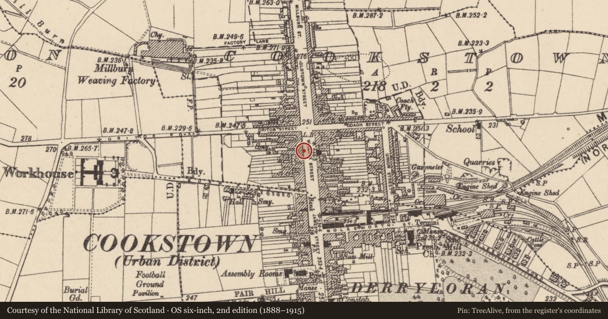Ordnance Survey six-inch map, 2nd edition (1888–1915) covering the location of 23 William Street, Cookstown, Co Tyrone, BT80 8AX, Mid Ulster, with a pin at the register's coordinates