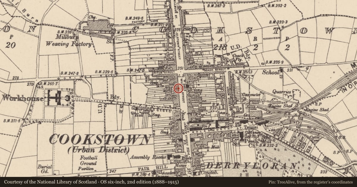 Ordnance Survey six-inch map, 2nd edition (1888–1915) covering the location of 27 William Street, Cookstown, Co Tyrone, BT80 8AX, Mid Ulster, with a pin at the register's coordinates