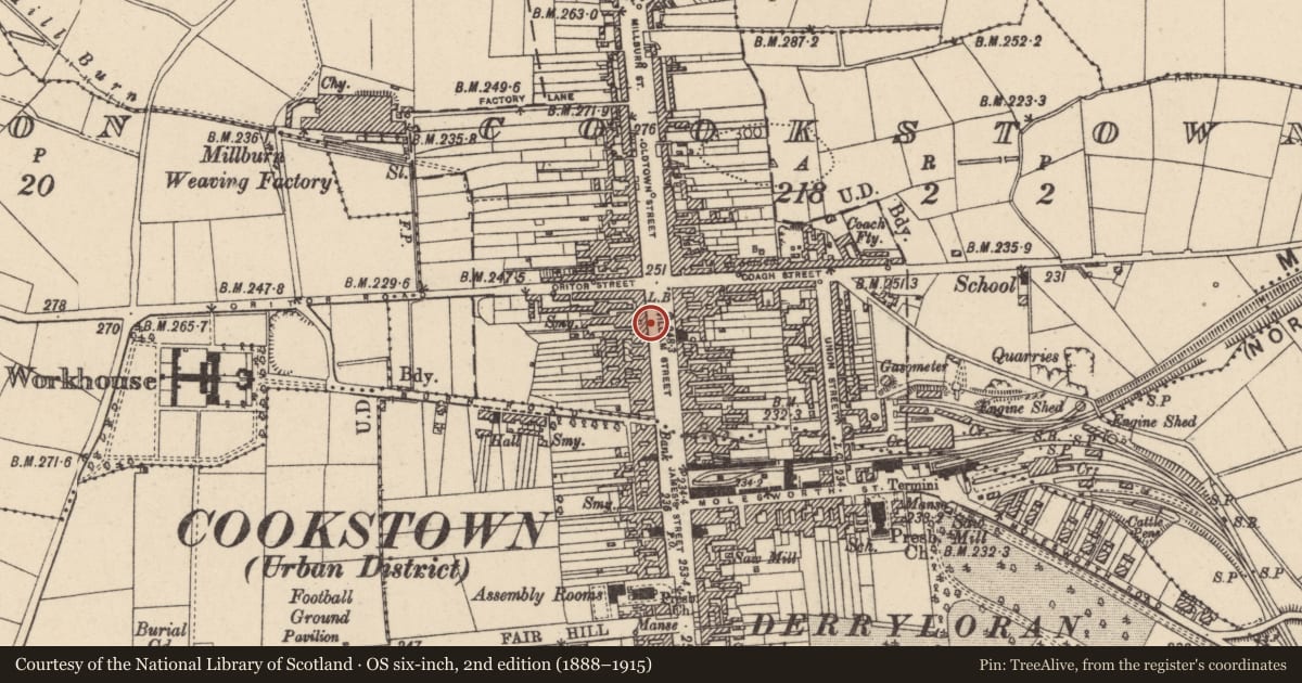 Ordnance Survey six-inch map, 2nd edition (1888–1915) covering the location of 19/21 William Street, Cookstown, Co Tyrone, BT80 8NB, Mid Ulster, with a pin at the register's coordinates