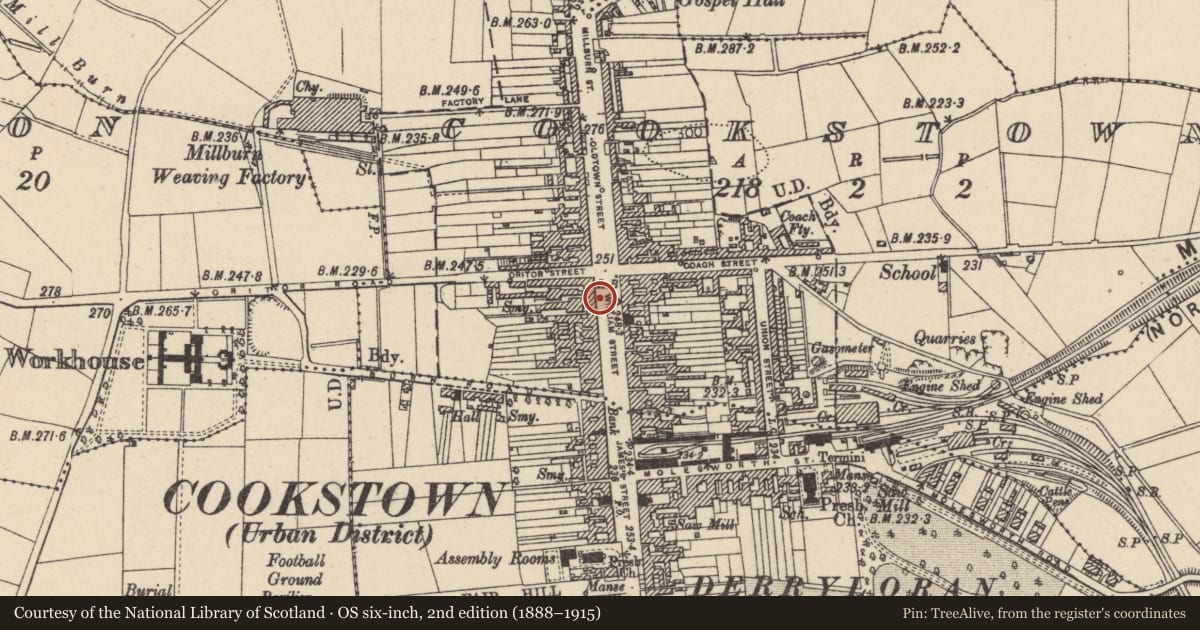 Ordnance Survey six-inch map, 2nd edition (1888–1915) covering the location of 15/17 William Street, Cookstown, Co Tyrone, BT80 8AX, Mid Ulster, with a pin at the register's coordinates