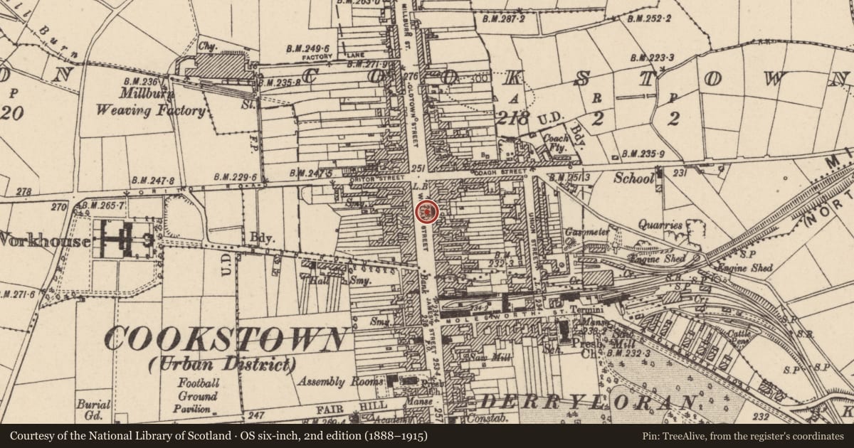 Ordnance Survey six-inch map, 2nd edition (1888–1915) covering the location of Cenotaph, opp 25 William Street, Cookstown, Co Tyrone, Mid Ulster, with a pin at the register's coordinates