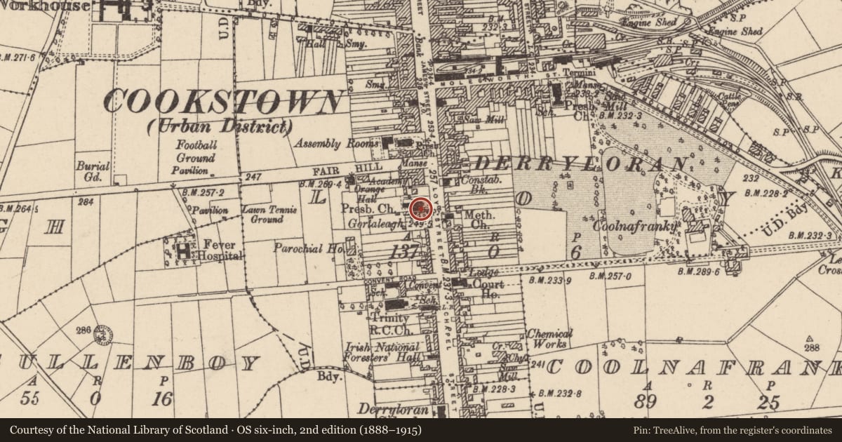 Ordnance Survey six-inch map, 2nd edition (1888–1915) covering the location of Gortaleagh, 17 Loy St, Cookstown, Co Tyrone, BT80 8PZ, Mid Ulster, with a pin at the register's coordinates
