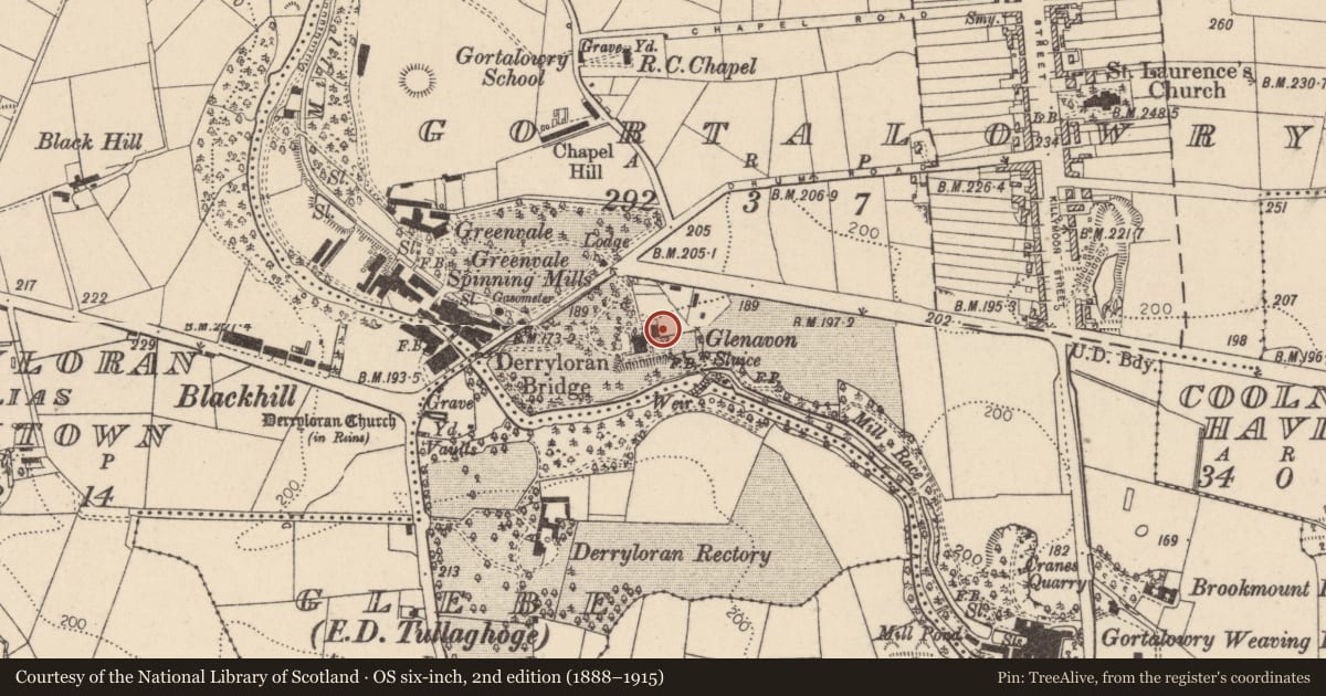 Ordnance Survey six-inch map, 2nd edition (1888–1915) covering the location of Glenavon House Hotel, Mid Ulster, with a pin at the register's coordinates