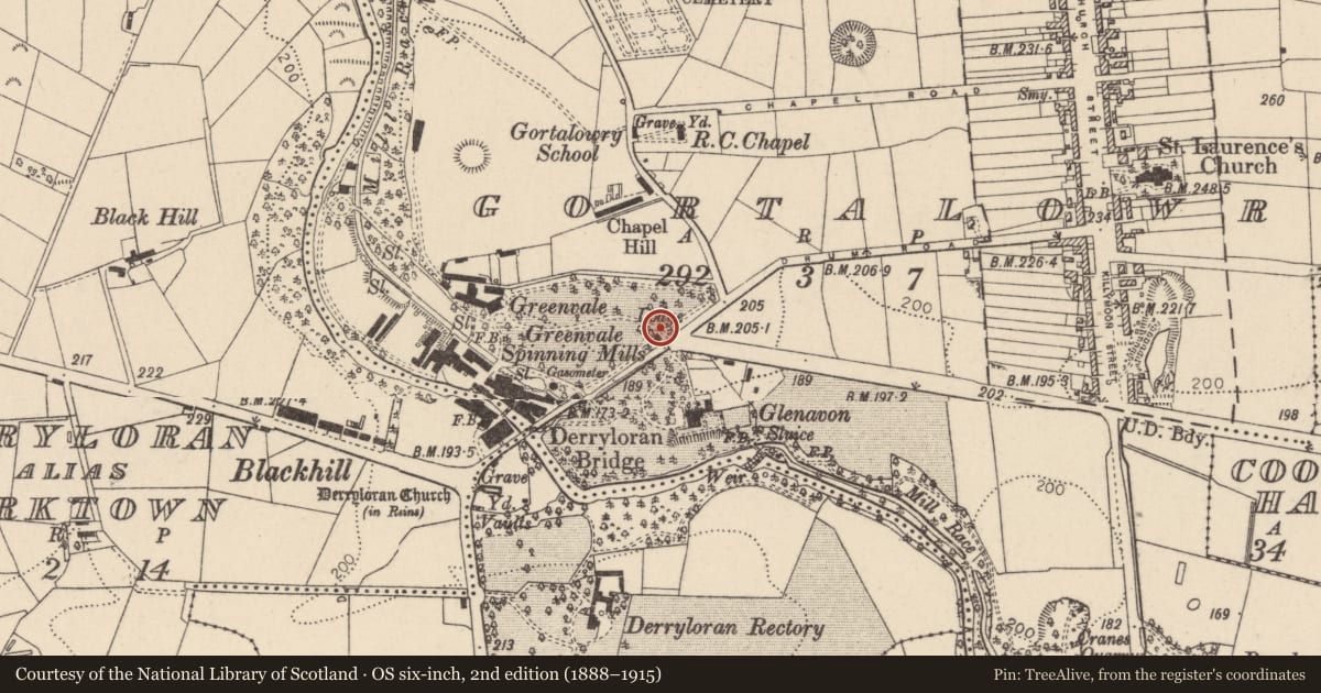 Ordnance Survey six-inch map, 2nd edition (1888–1915) covering the location of Lodge at Greenvale, Gortalowry, Mid Ulster, with a pin at the register's coordinates