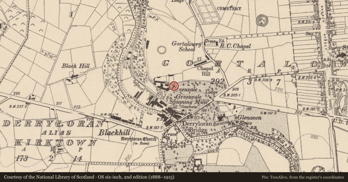 Ordnance Survey six-inch map, 2nd edition (1888–1915) covering the location of Greenvale, Mid Ulster, with a pin at the register's coordinates