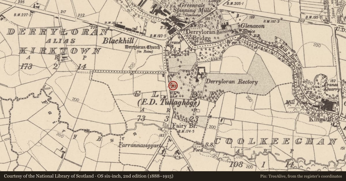 Ordnance Survey six-inch map, 2nd edition (1888–1915) covering the location of Derryloran House, 4 Sandholes Road, Cookstown, Co Tyrone, BT80 9NR, Mid Ulster, with a pin at the register's coordinates