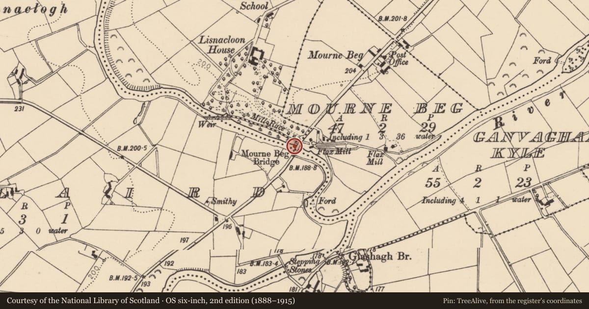 Ordnance Survey six-inch map, 2nd edition (1888–1915) covering the location of Mourne Beg Bridge, Magheranageeragh Road, Mourne Beg/Lislaird, Derry City and Strabane, with a pin at the register's coordinates