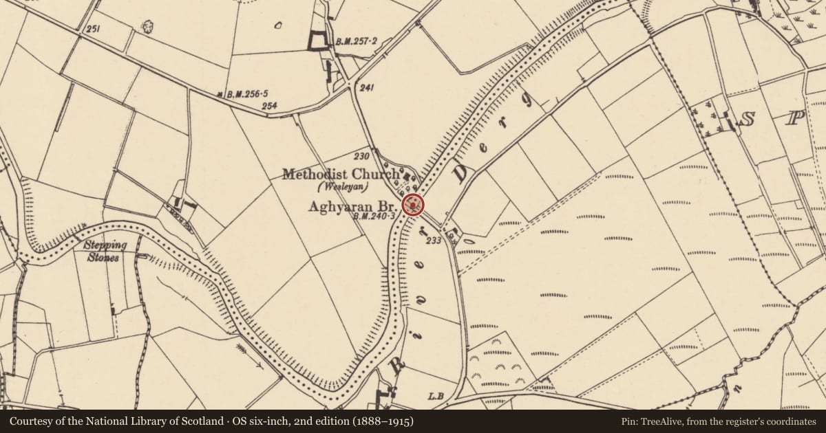 Ordnance Survey six-inch map, 2nd edition (1888–1915) covering the location of Aghyaran Bridge, Aghyaran/Gortnagross, Derry City and Strabane, with a pin at the register's coordinates