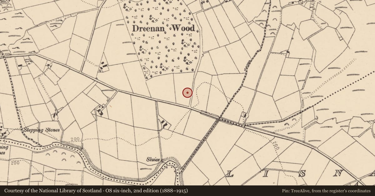 Ordnance Survey six-inch map, 2nd edition (1888–1915) covering the location of 23 Lisnacloon Road, Derry City and Strabane, with a pin at the register's coordinates