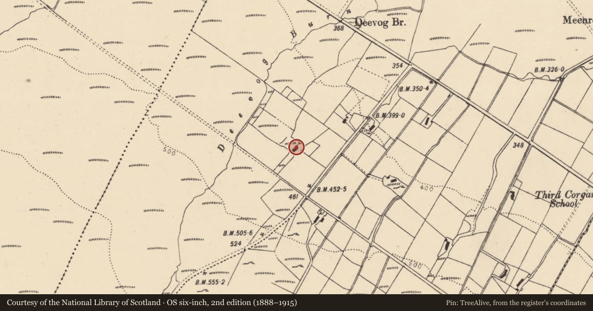 Ordnance Survey six-inch map, 2nd edition (1888–1915) covering the location of 24 Meenablagh Road, Meenablagh or Fourth Corgary, Derry City and Strabane, with a pin at the register's coordinates