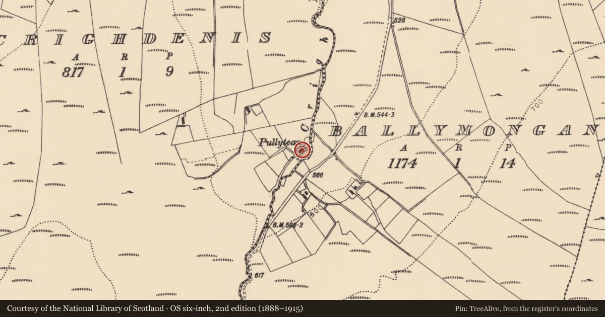 Ordnance Survey six-inch map, 2nd edition (1888–1915) covering the location of Thatched house beside, Crighdenis, Derry City and Strabane, with a pin at the register's coordinates