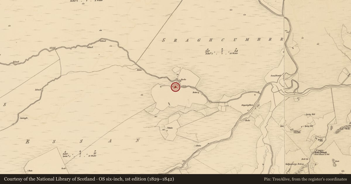 Ordnance Survey six-inch map, 1st edition (1829–1842) covering the location of 31 Essan Road, Derry City and Strabane, with a pin at the register's coordinates
