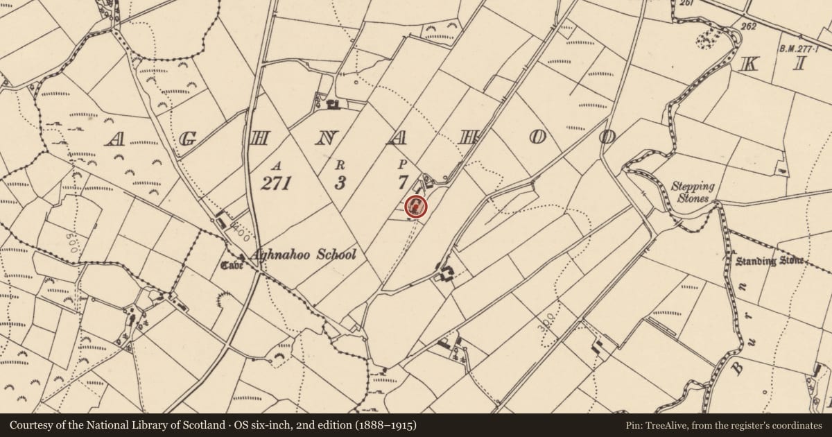 Ordnance Survey six-inch map, 2nd edition (1888–1915) covering the location of 10 Creeduff Road, Aghnahoo, Derry City and Strabane, with a pin at the register's coordinates
