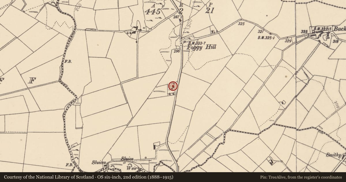 Ordnance Survey six-inch map, 2nd edition (1888–1915) covering the location of 19 Foggy Hill Road, Ganvaghan (Hemphill), Derry City and Strabane, with a pin at the register's coordinates