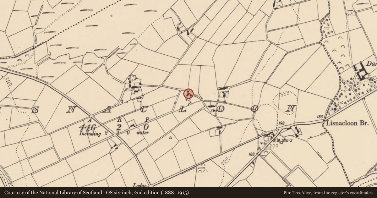 Ordnance Survey six-inch map, 2nd edition (1888–1915) covering the location of 9 Lislaird Road, Lisnacloon, Derry City and Strabane, with a pin at the register's coordinates