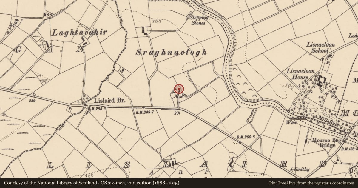 Ordnance Survey six-inch map, 2nd edition (1888–1915) covering the location of 15 Legatonegan Road, Lislaird, Castlederg, Strabane, Co Tyrone BT81 7UJ, Derry City and Strabane, with a pin at the register's coordinates