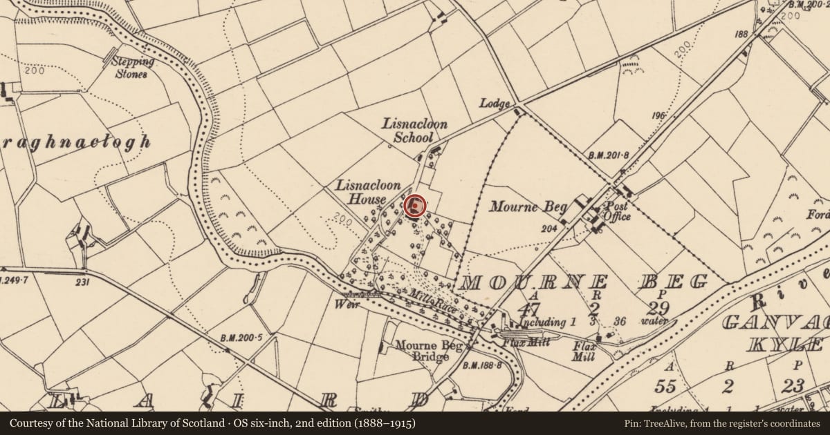 Ordnance Survey six-inch map, 2nd edition (1888–1915) covering the location of 22 Lislaird Road, Lisnacloon, Derry City and Strabane, with a pin at the register's coordinates