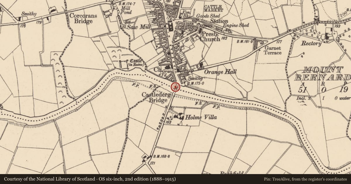 Ordnance Survey six-inch map, 2nd edition (1888–1915) covering the location of Castlederg Bridge, Churchtown/Bridgetown, Derry City and Strabane, with a pin at the register's coordinates