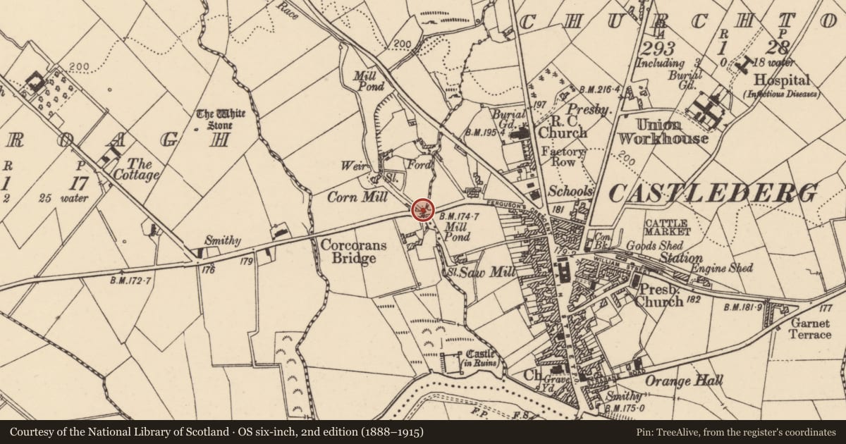 Ordnance Survey six-inch map, 2nd edition (1888–1915) covering the location of Road Bridge, Derry City and Strabane, with a pin at the register's coordinates