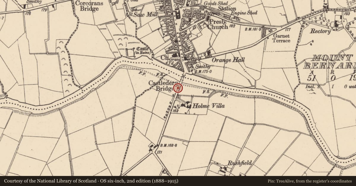 Ordnance Survey six-inch map, 2nd edition (1888–1915) covering the location of Lesser Castlederg Bridge, Derry City and Strabane, with a pin at the register's coordinates