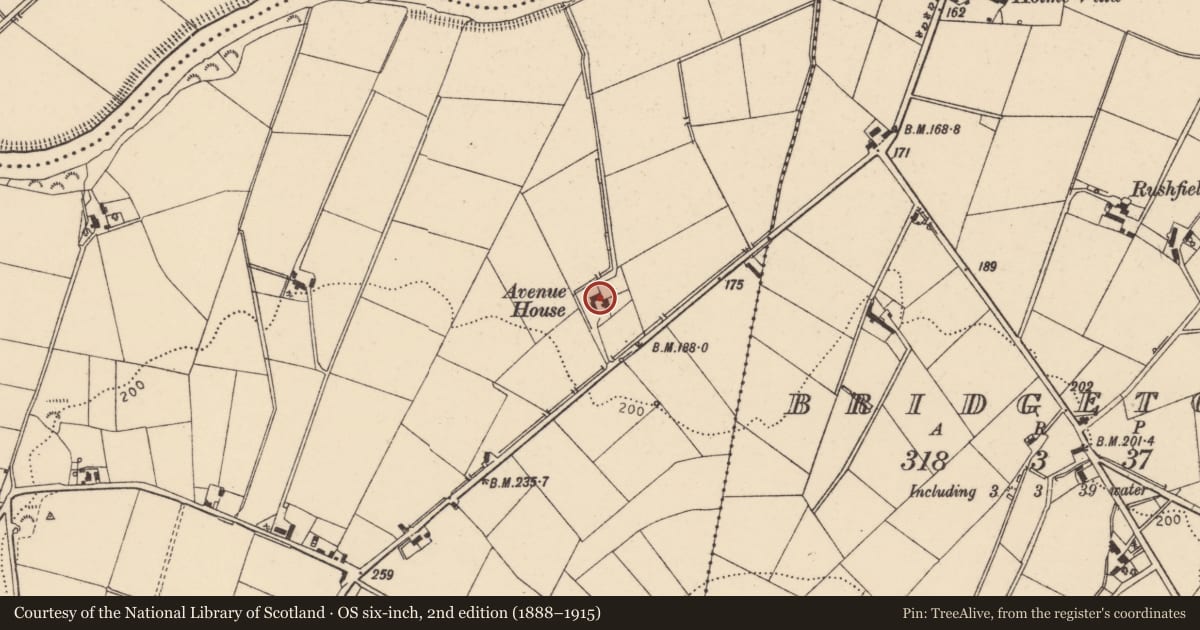 Ordnance Survey six-inch map, 2nd edition (1888–1915) covering the location of Avenue House, Derry City and Strabane, with a pin at the register's coordinates