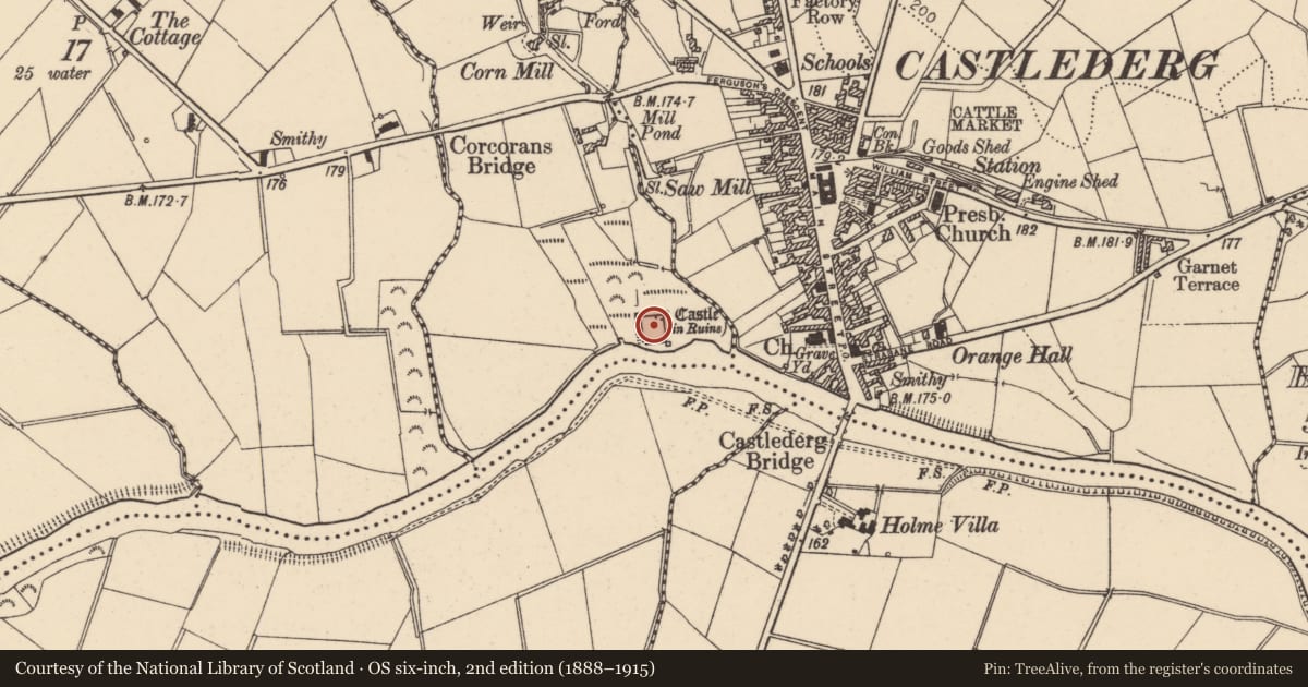 Ordnance Survey six-inch map, 2nd edition (1888–1915) covering the location of Castlederg Castle, Derry City and Strabane, with a pin at the register's coordinates